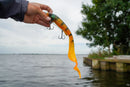 Giguishad™ [Tu aliado profesional en la pesca]
