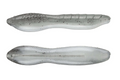 Missile Baits Bomba Worm