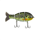 Bucca MB Baby Bull Gill