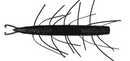 Big Bite Scentsation Fuzzy Stick