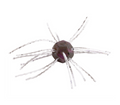 Strike King Tumbleweed Floatin