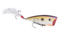 Strike King KVD Splash Topwater