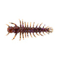 Yum Hellgrammite