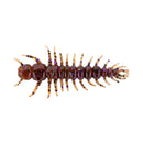 Yum Hellgrammite